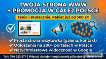HIT - Strona internetowa od 500 PLN z mocną promocją w Google!