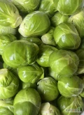 Sprzedam brukselke duże ilości.