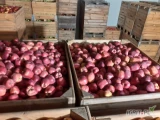 Sprzedam z chłodni Red Chief, Golden, Idared,Szampion, ilości tirowe i paletowe