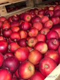 Sprzedam jabłka po gradzie z przeznaczeniem na suchy przemysł, przeciery, musy, soki: Red Jonaprince 197 skrzyń, Gloster 78 skrzyń....