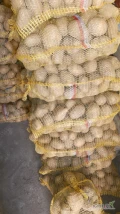 Sprzedam ziemniaki Soraya sortowane na sito 52+ dostępne ok 420 worków 13 zł worek 15