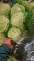 Sprzedam kapuste biala jakość marketowa 1-3 kg zdrowa bez wciornastka worek 20 kg bądź opakowanie do ustalenia 