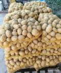 Sprzedam ziemniaki kaliber +45   odmiany Soraya, Quinn Anna , Melody 