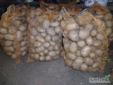 Sprzedam ziemniaki jadalne odmiana Otalia. Ziemniak żółty bardzo smaczny nie rozgotowuje się. 12zl za 15kg. Okolice Dwikóz 