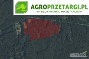 [ZAKOŃCZONE] Przetarg na dzierżawę 1,02 ha gruntu leśnego (poletek łowieckich) na czas nieokreślony