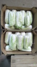 Sprzedam kapustę pekińską waga0.5-1.8kg