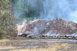 Najpierw pili wódkę, a potem... podpalali