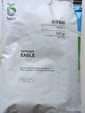 EAGLE F1(j.500g) , EAGLE F1(j.100 000n, B-mox) nasiona pietruszki firmy Bejo oferuje GEPWEG dystrybutor nasion. dostawa gratis.Płatnosć...
