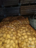 Sprzedam ziemniaki corinna Kal od 3 do 5 zdrowe.