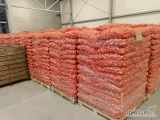 Sprzedam cebule drobna na wysadkę kaliber 40/50, odmiana Sedona, ostatnie 9 ton, worek 10kg