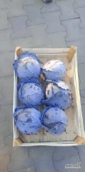 Sprzedam kapustę czerwoną od 1.2 do 2.5 kg