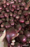 Sprzedam cebulę czerwoną. Kaliber 4-6, 5-7, 5-8. Pakowanie worki 5,10,15 kg. Szybka realizacja zamówień. Ilosci - na życzenie klienta....