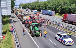Rolnicy w Holandii protestują (wideo)