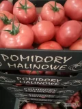 Sprzedam pomidora malinowego jesiennego. W rozmiarze 3B ,2B.