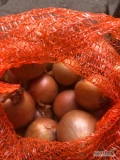 Sprzedam cebulę w workach 15kg. Twarda odmiana w typie rijnsburger. Towar zdrowy w ładnej łusce, szykowany od 4,5. Jednorazowo mogę...