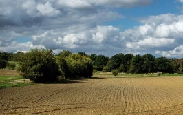 Wnioski na inwestycje leśne lub zadrzewieniowe od 1 czerwca