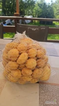 Witam sprzedam ziemniaki młode ilości tonowe zainteresowanych zapraszam Riviera