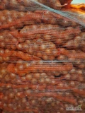 Sprzedam cebule pakowaną po 10 kg kaliber 5-7 oraz 7-9 