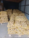 Sprzedam ziemniaki soraya worek 15 kg
