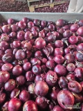 Sprzedam cebulę czerwoną luz lub big bag.kal.6-10