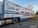 Sprzedam naczepa do przewożenia żywca. Trzy pokłady hydrauliczne, automatyczne pojenie oraz wentylacja z kurtynami. Używana na potrzeby...