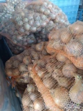 Sprzedam piękną białą cebule w workach po 15 i 25kg.