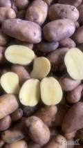 Sprzedam ziemniaki na obieranie, myte , bardzo dobra jakosc 45-90 mm, 26 ton