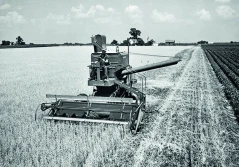 John Deere świętuje 75-lecie kombajnów samojezdnych