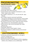Sprzedam soki z pigwowca japońskiego 100% owoców. Bez dodatku cukru.