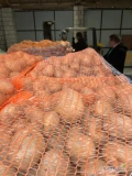 Zakupię ziemniaki kal.50+ , op.10kg lub big bag. Towar twardy i zdrowy. Ilości tirowe , cena od 0.8 - 1 zł kg. 