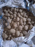 Sprzedam ziemniaki 55+ Michalina z jasnej ziemi, big bag  lub worek 