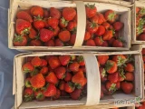 Sprzedam z dzisiejszego zbioru truskawke słodka ok 100 lubianek 