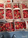 Sprzedam około 600 koszy marmolady 