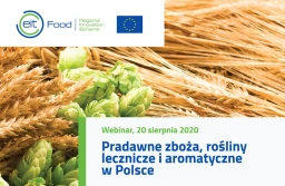 Bioróżnorodność w praktyce: Czy warto uprawiać rośliny niszowe?
