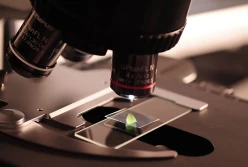 Związki branżowe chcą Nowych Technik Genomowych