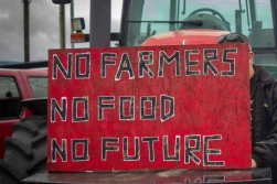 KRIR apeluje do europosłów o udział w proteście w Brukseli