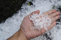 Rusza jesienna kampania sprzedaży ubezpieczeń rolnych