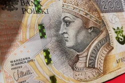 Ceny rolnicze w sierpniu były o 18% wyższe niż przed rokiem