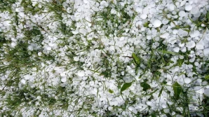 Rusza nabór wniosków o pomoc za klęski żywiołowe w 2020 roku