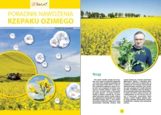 Przedsiewne nawożenie rzepaku - pobierz nasz poradnik za darmo