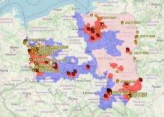 51 ognisk - 35 tysięcy wybitych świń