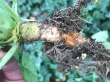 Silny jesienny wigor - dodatkowe ubezpieczenie