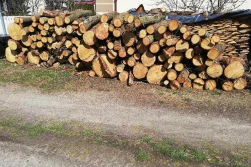 Zakup kradzionego drewna to też przestępstwo