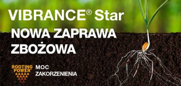Rozszerzenie rejestracji zaprawy VIBRANCE® Star firmy Syngenta