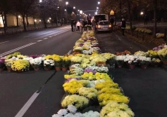 Producenci chryzantem liczą straty. Jaka branża następna?