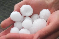 Brak dodatkowych środków na ubezpieczenia upraw