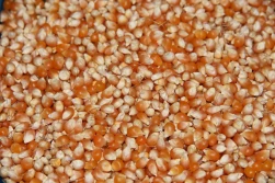 Im dalej od granicy tym...drożej