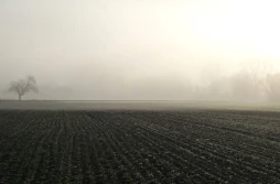 Gdzie jest najwyższy czynsz dzierżawny?