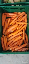 Sprzedam marchew mytą, kal 2-4. Opakownie do uzgodnienia. Możliwa FV.