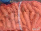 Będę sprzedawać marchewki. Nie prane. W siatkach 22 kg. Na paletach 800 kg. Kaliber duży od 15 do 27 cm. Znajdują się tam wszystkie...